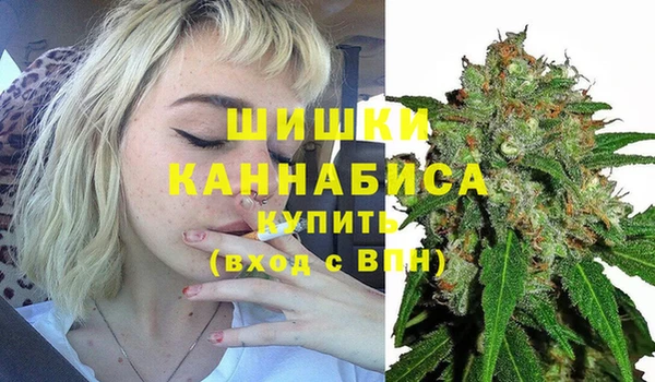 дмт Абаза