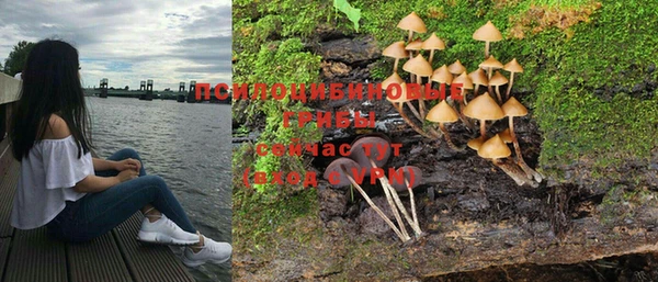 винт Абинск