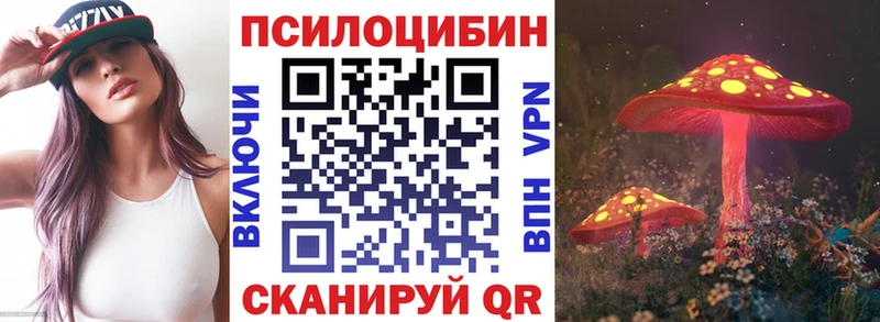 Псилоцибиновые грибы MAGIC MUSHROOMS  Болотное 
